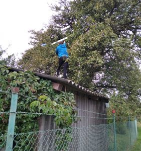 Ściąganie modelu z drzewa w niedziele po 2 kolejce.